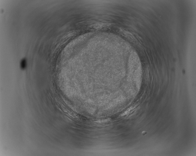 X0000067851105200605111701