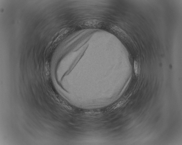 X0000067851107200605111701