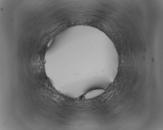 X0000067851109200605111701