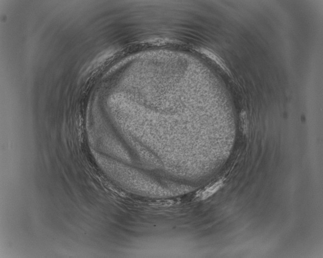 X0000067851111200605111701