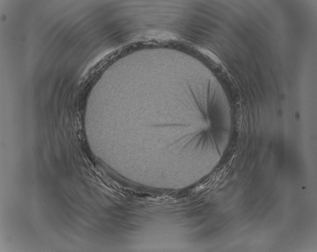 X0000067851112200605111701