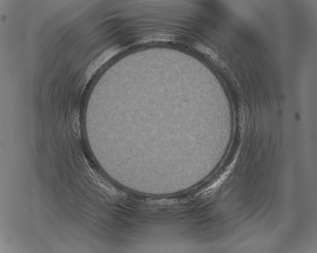 X0000067851113200605111701