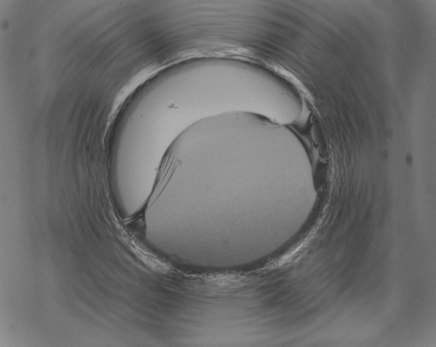 X0000067851114200605111701