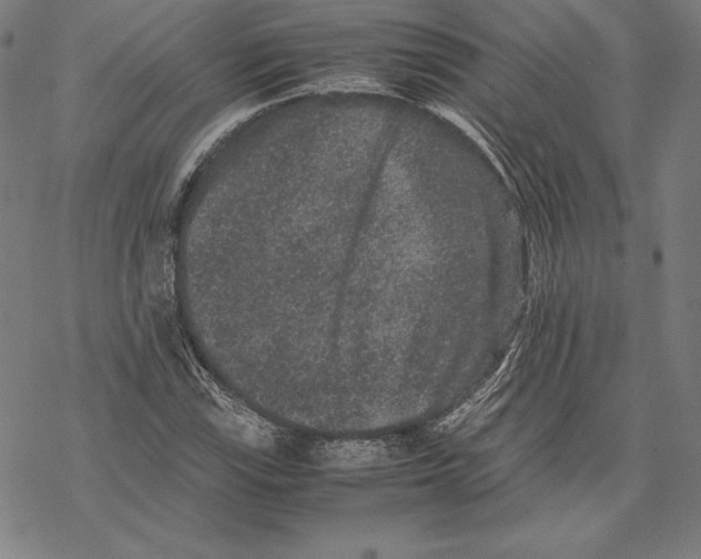 X0000067851115200605111701