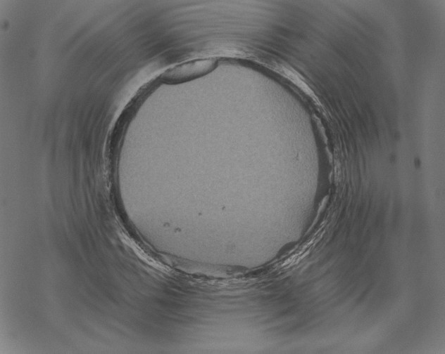 X0000067851116200605111701