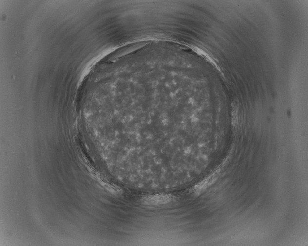 X0000067851117200605111701