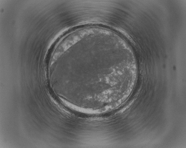 X0000067851118200605111701