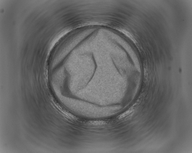 X0000067851119200605111701