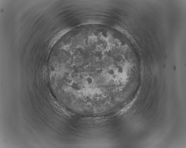 X0000067851121200605111701