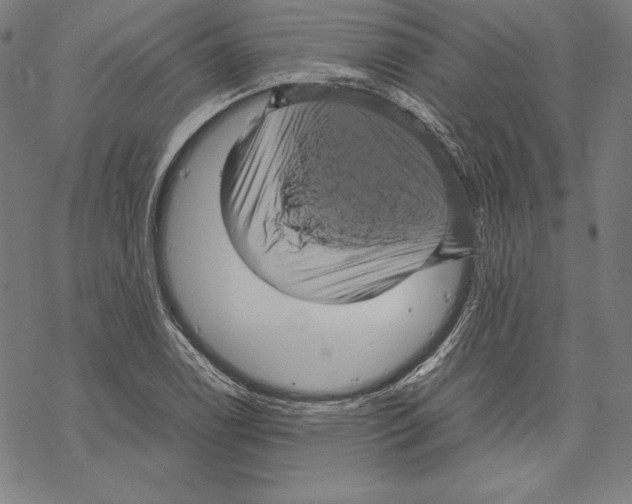 X0000067851122200605111701