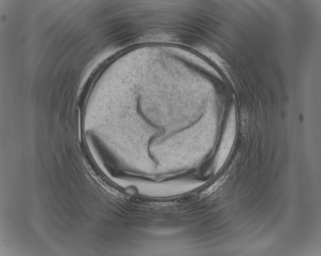 X0000067851123200605111701