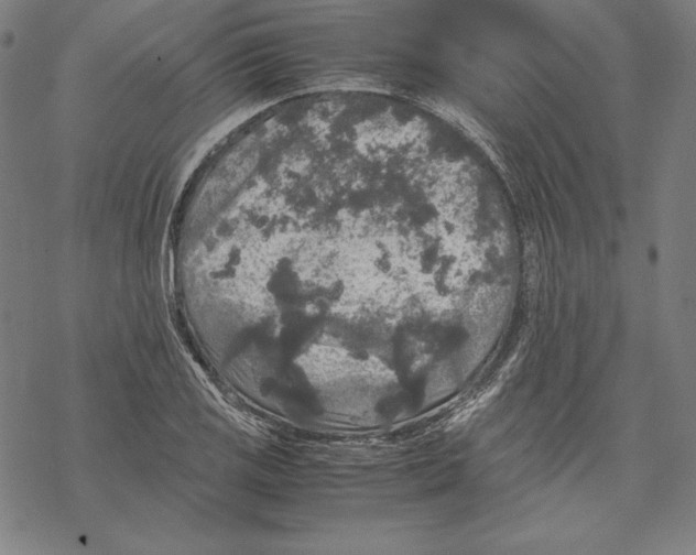 X0000067851125200605111701