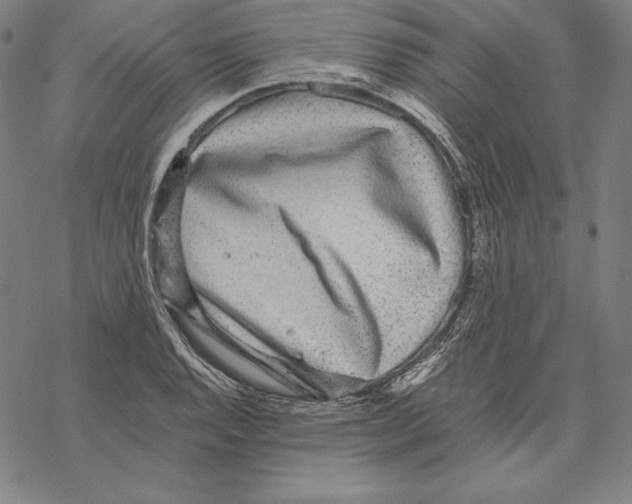 X0000067851128200605111701