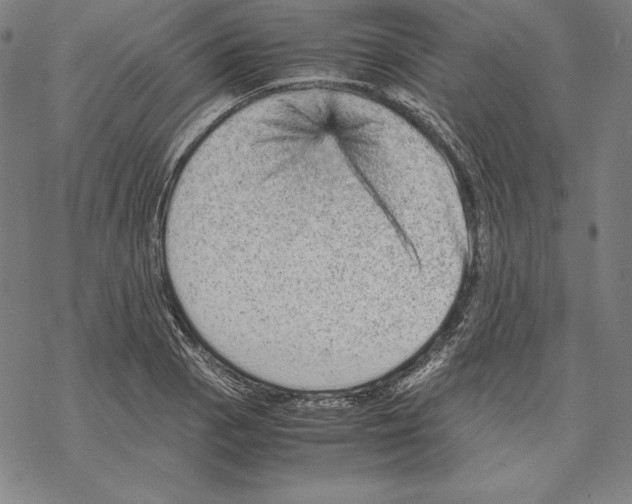 X0000067851129200605111701