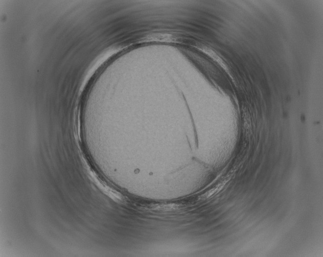 X0000067851131200605111701