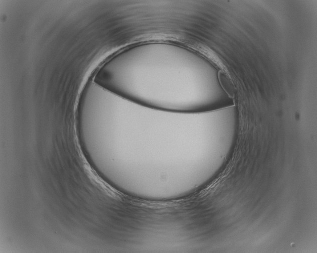 X0000067851132200605111701