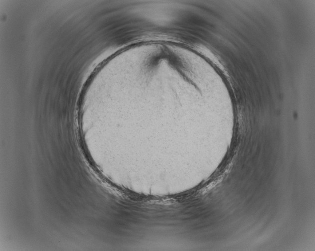 X0000067851133200605111701