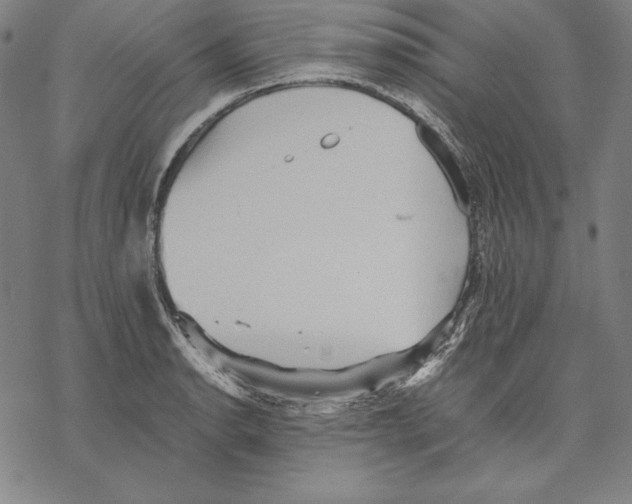 X0000067851134200605111701