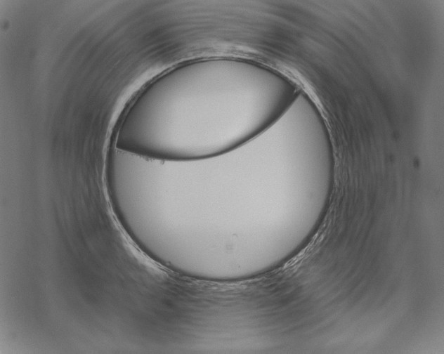 X0000067851136200605111701