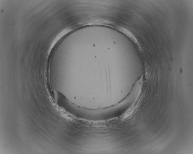 X0000067851138200605111701