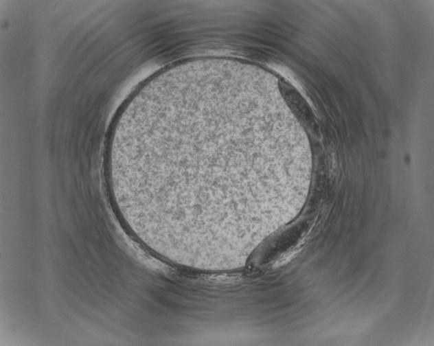 X0000067851139200605111701