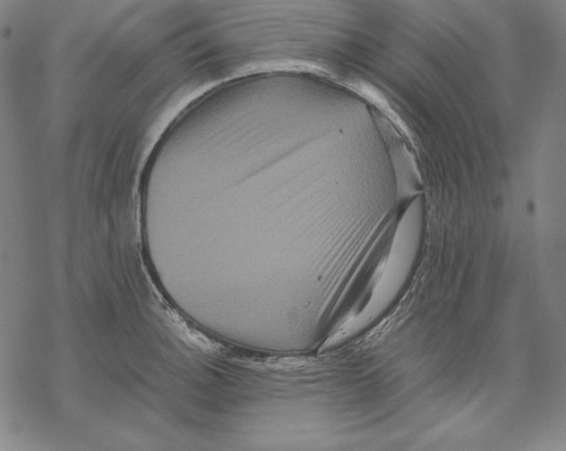 X0000067851140200605111701