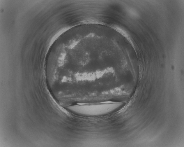 X0000067851141200605111701