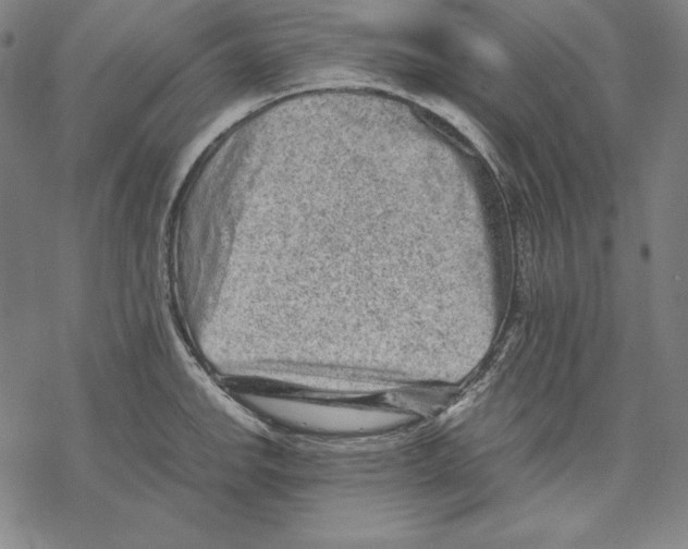 X0000067851142200605111701