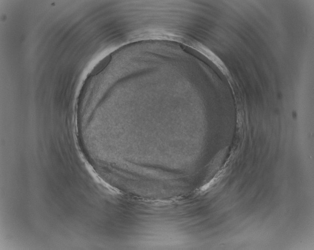 X0000067851144200605111701