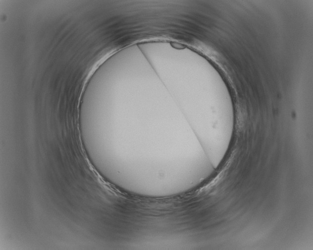 X0000067851145200605111701