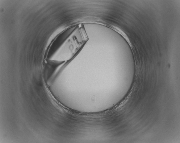 X0000067851146200605111701