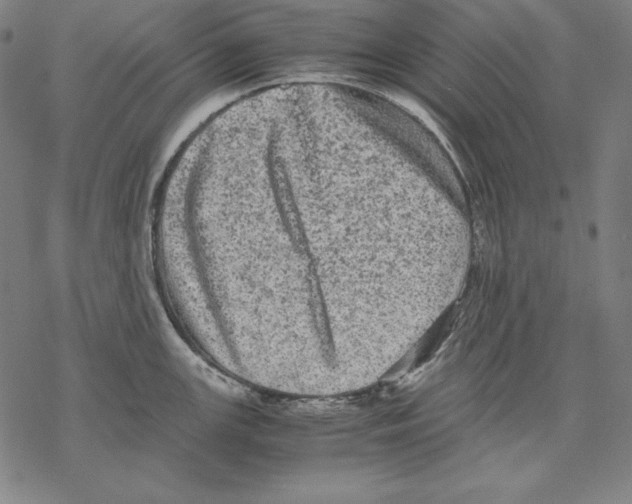 X0000067851147200605111701