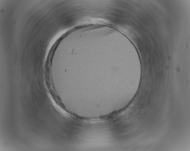 X0000067851152200605111702