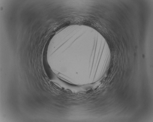 X0000067851153200605111701