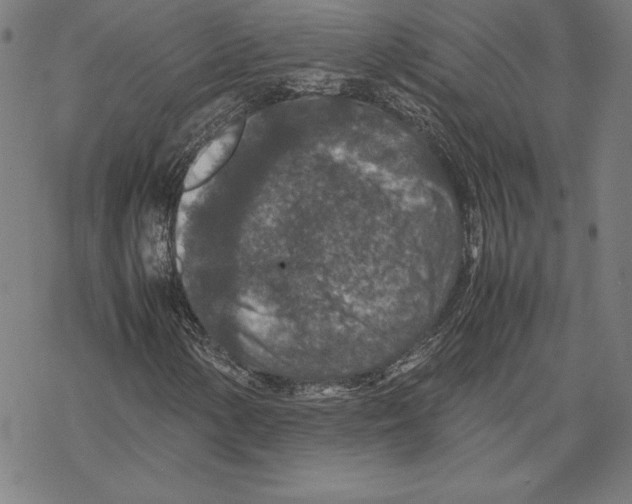 X0000067851154200605111701