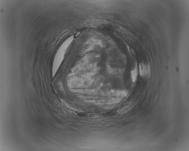 X0000067851155200605111701