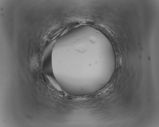 X0000067851157200605111701