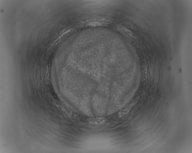 X0000067851158200605111701