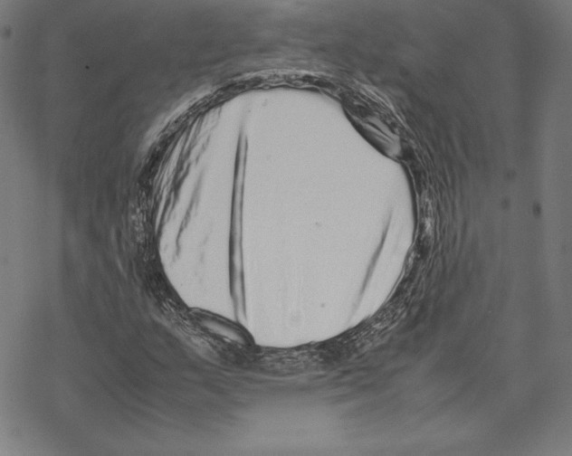 X0000067851159200605111701