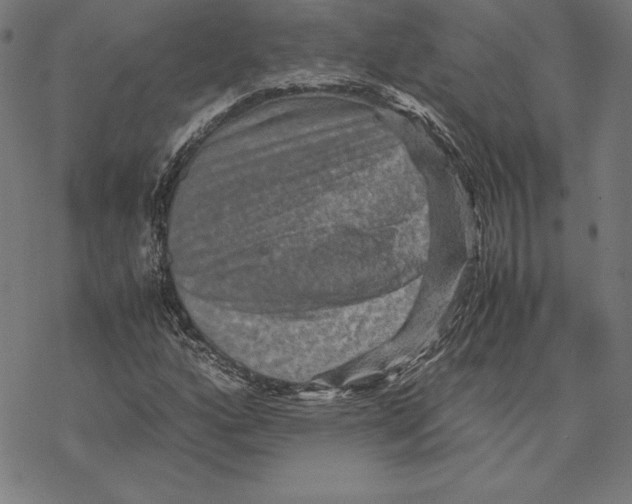 X0000067851160200605111701