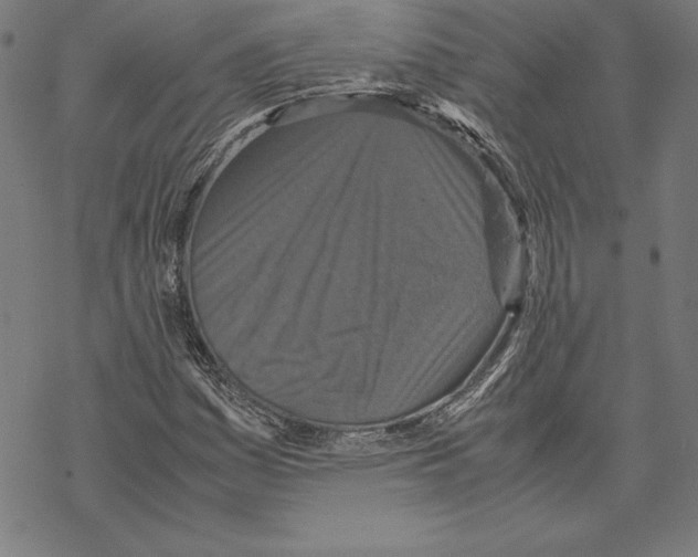 X0000067851161200605111701