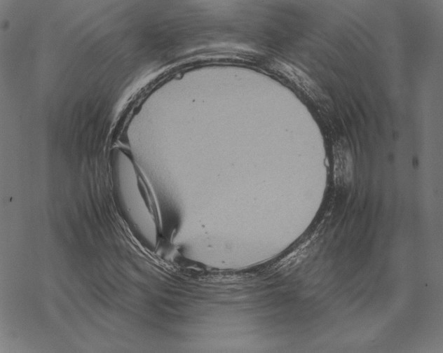 X0000067851164200605111701