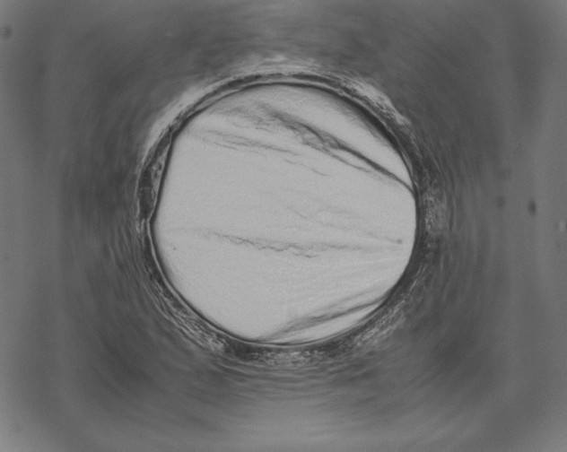 X0000067851167200605111701