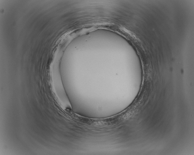 X0000067851169200605111700