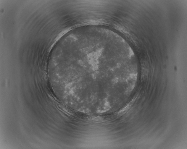 X0000067851170200605111700