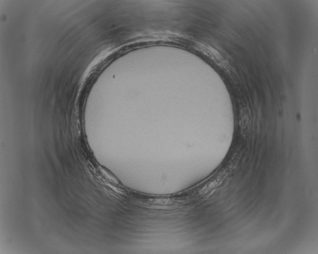 X0000067851172200605111700