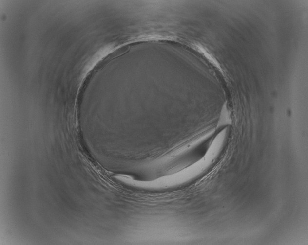 X0000067851173200605111700