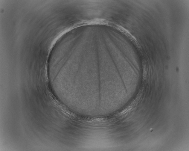 X0000067851174200605111700