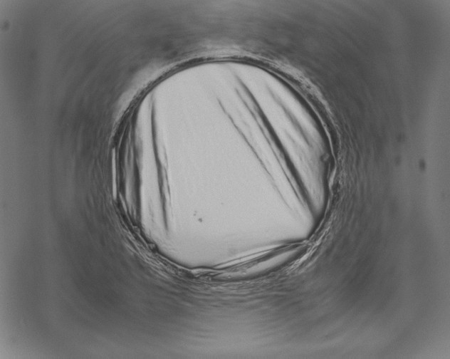 X0000067851175200605111700