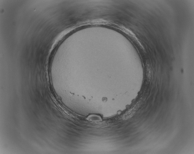 X0000067851176200605111700